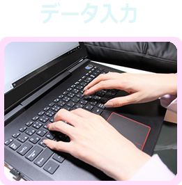 データ入力のイメージ